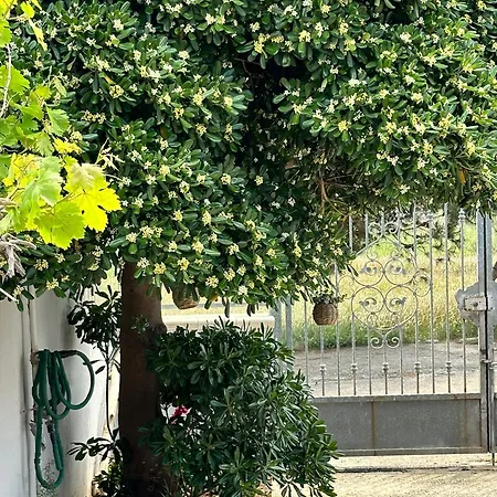 Holiday home Relaxing Time Lecce